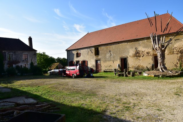 DSC_0336